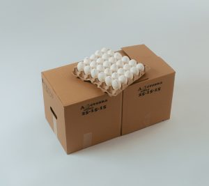 С-1 Деревенское