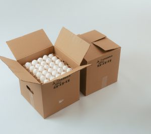 С-1 Деревенское